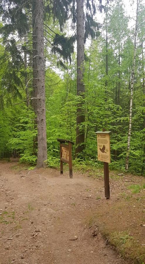 Ubytování v soukromí - Apartmán MERAN Svoboda nad Úpou Exterior foto