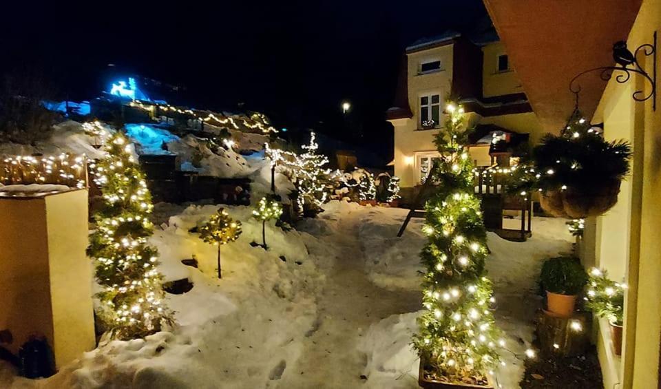 Ubytování v soukromí - Apartmán MERAN Svoboda nad Úpou Exterior foto